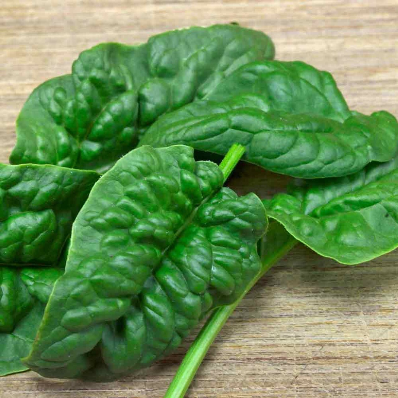 200 seedsBloomsdale Spinach Seeds- Long standing- Organic Free Shipping & TRK