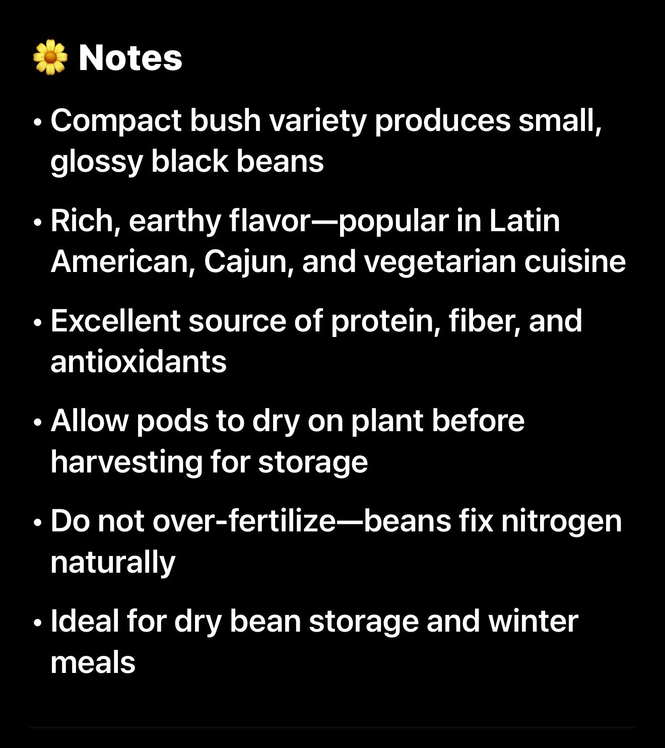 Black Bean Seeds | For Planting Mexican Frijoles Beans Black Turtle Seed 2026