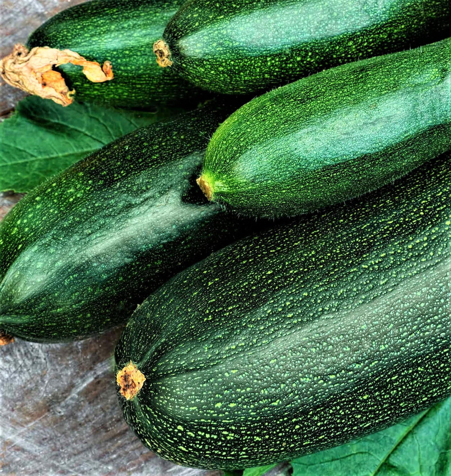 Dark Green Zucchini Seeds 30 SEEDS NON-GMO –BUY 4 ITEMS FREE SHIPPING