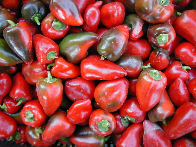 PIMENTO L * SWEET PEPPER SEEDS * HEART SHAPED PEPPERS * 100 COUNT PKT.