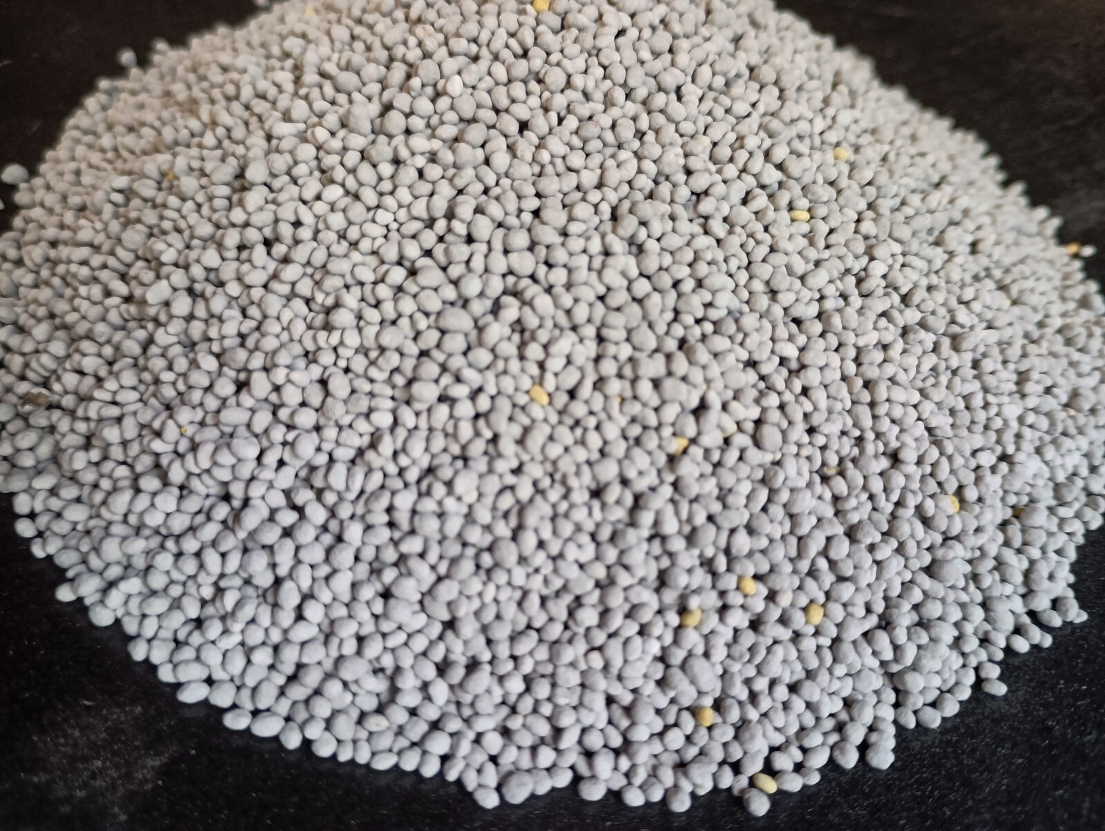 Medium Red Clover Seed – NON-GMO Heirloom Inoculated Cover Crop & Pasture