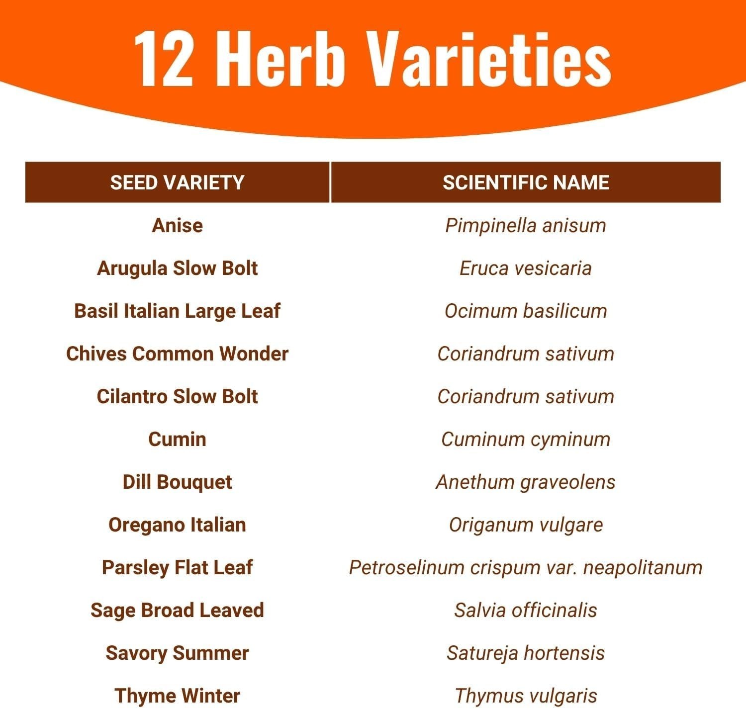 4,000 Non-GMO Heirloom Herb Seeds: 12-Pack Garden Starter Kit for Flavorful H…