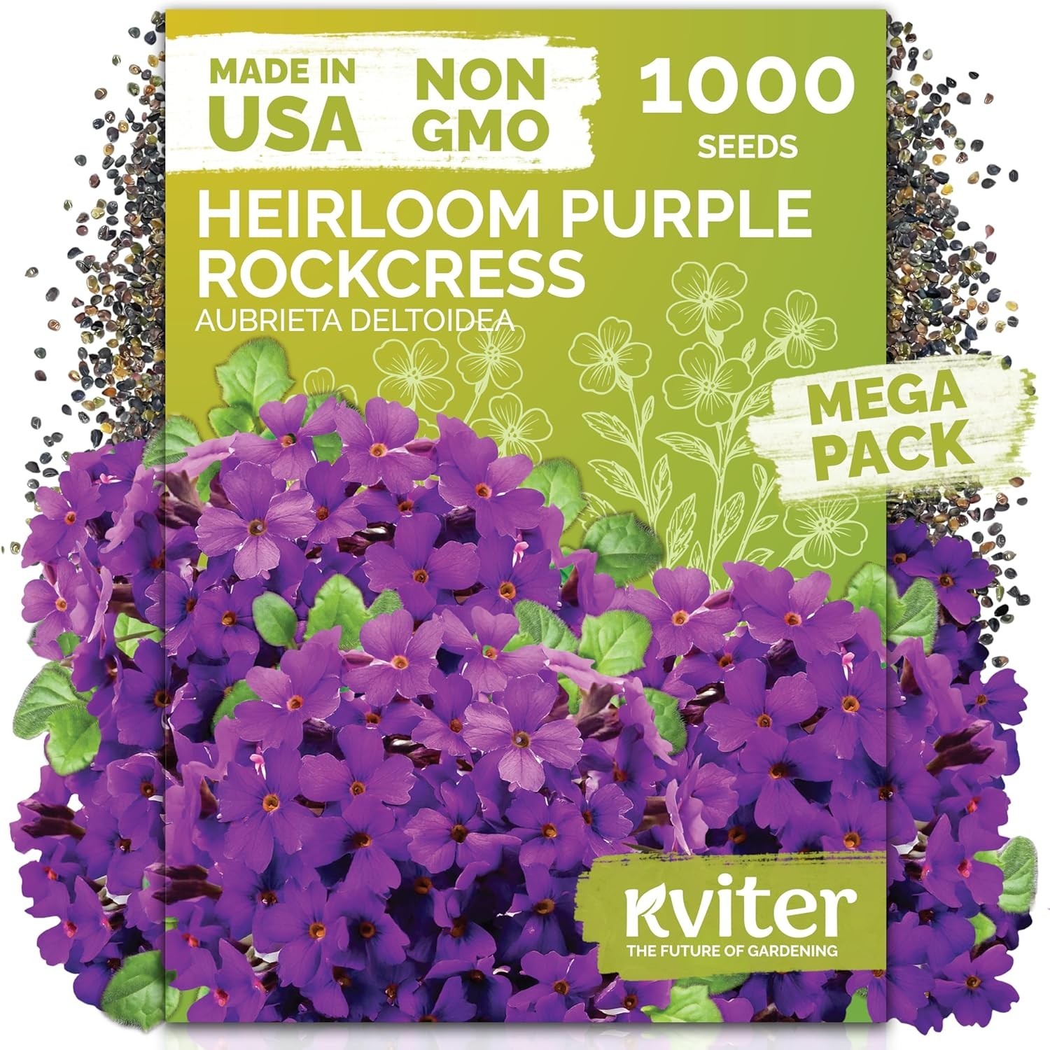High Germination Aubrieta Seeds – 1,000 Count Purple Rock Cress for Outdoors