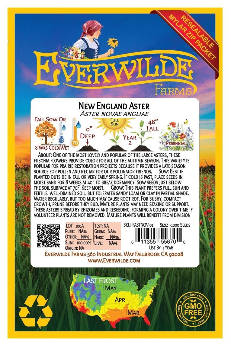 1000 New England Aster Wildflower Seeds – Everwilde Farms Mylar Seed Packet