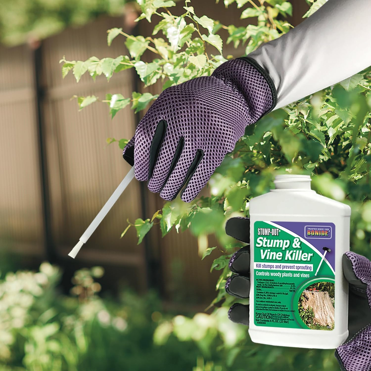 Stump & Vine Killer, 8 Oz Concentrate with Applicator