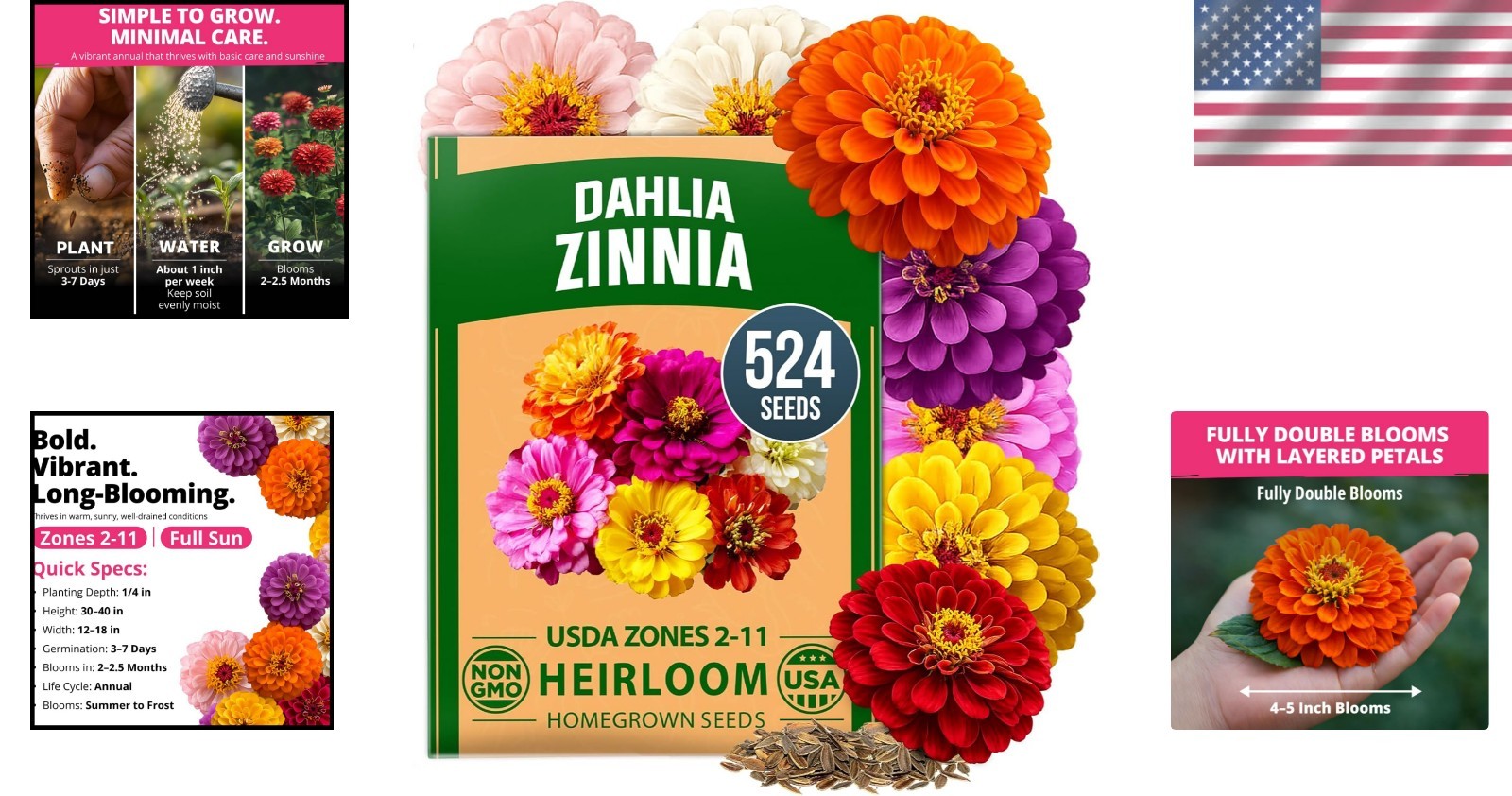 524 Zinnia Dahlia Seeds for Pollinator Gardens – Multi-Color Elegance