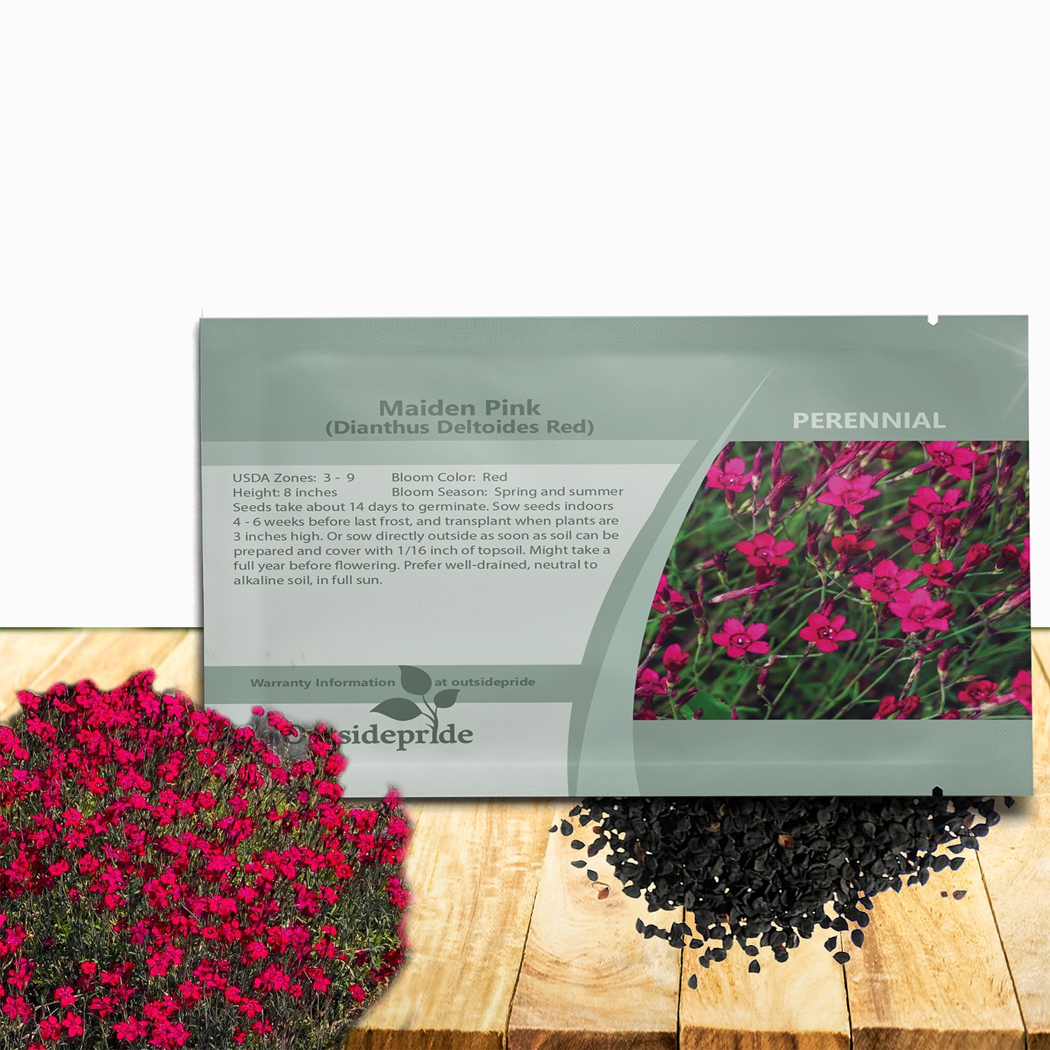 10000 Seeds Dianthus Deltoides Maiden Pinks Drought Resistant Flower Seed