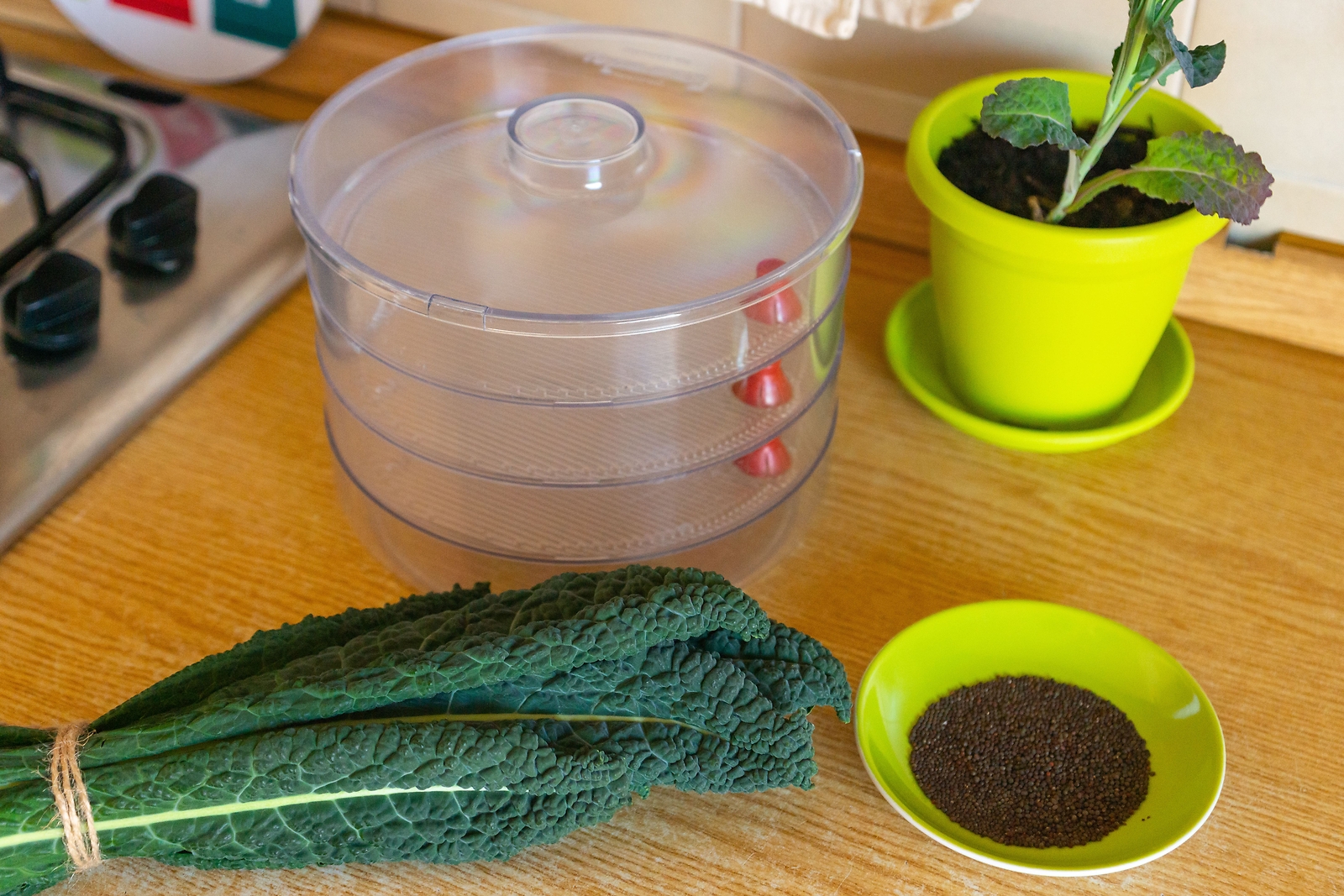 Food to Live Kale Sprouting Seeds, Vegan