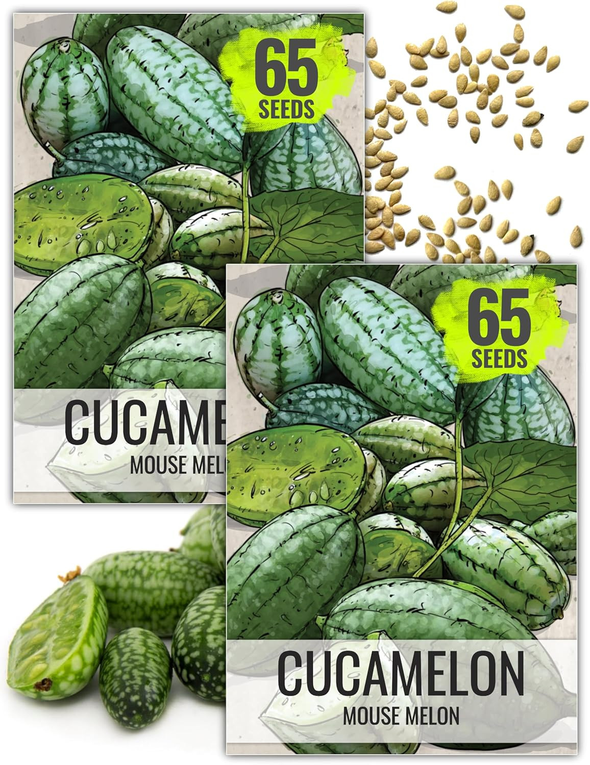 Seed Needs Cucamelon Seeds for Planting Mexican Sour Gherkin Miniature Mouse Mel