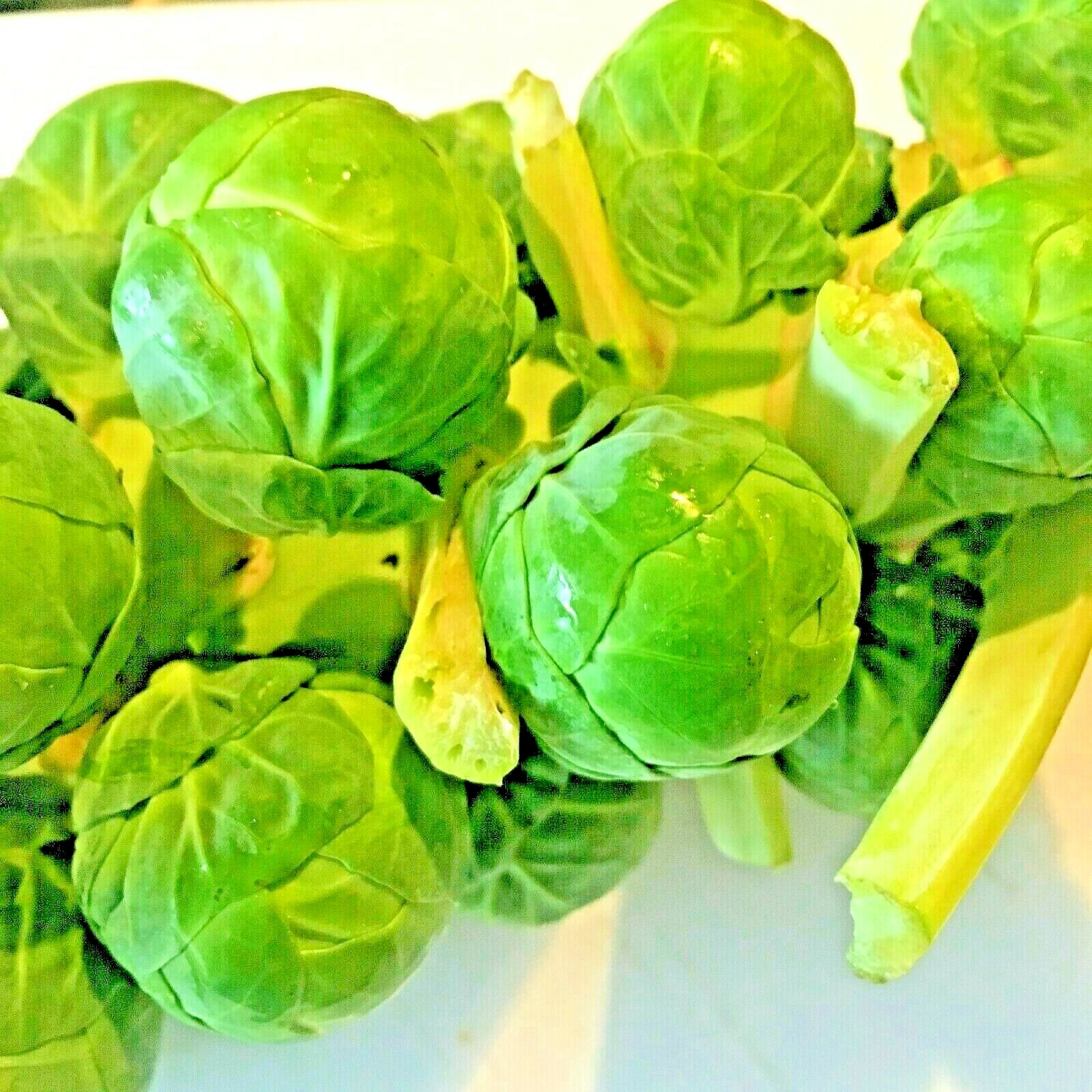BRUSSELS SPROUTS 100 SEEDS SPRING GARDEN HEIRLOOM VEGETABLE NON-GMO GREENS USA