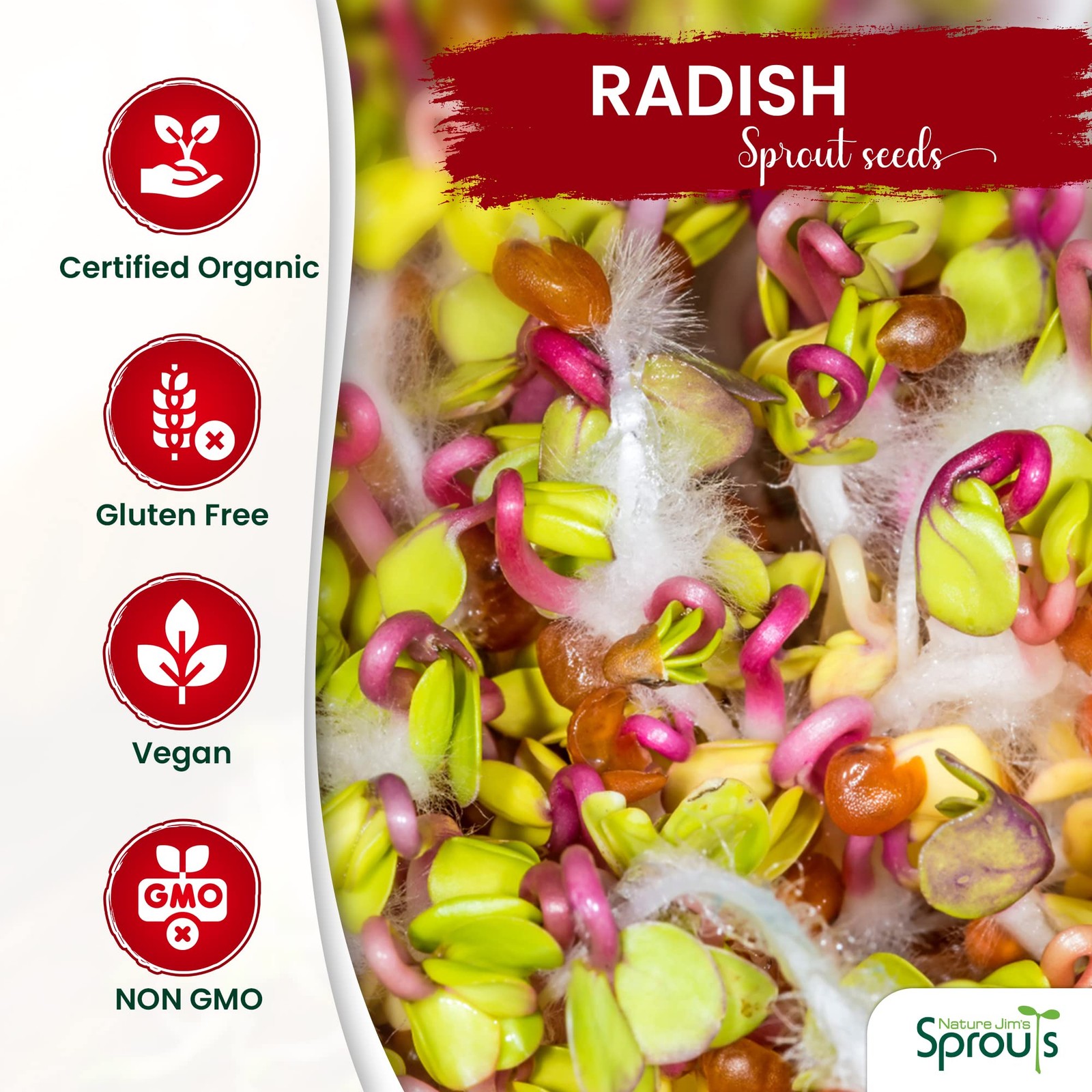Nature Jims Radish Sprout Seeds – 16 Ounce Organic Sprouting Seeds – Non-GMO …