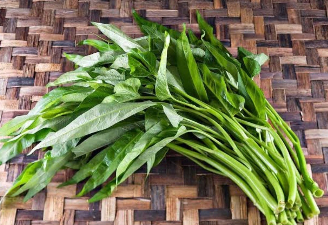 Kangkong Seeds Delicious Vegetable Fried Leaves Chips Stir-fry Steamed Etc 50…