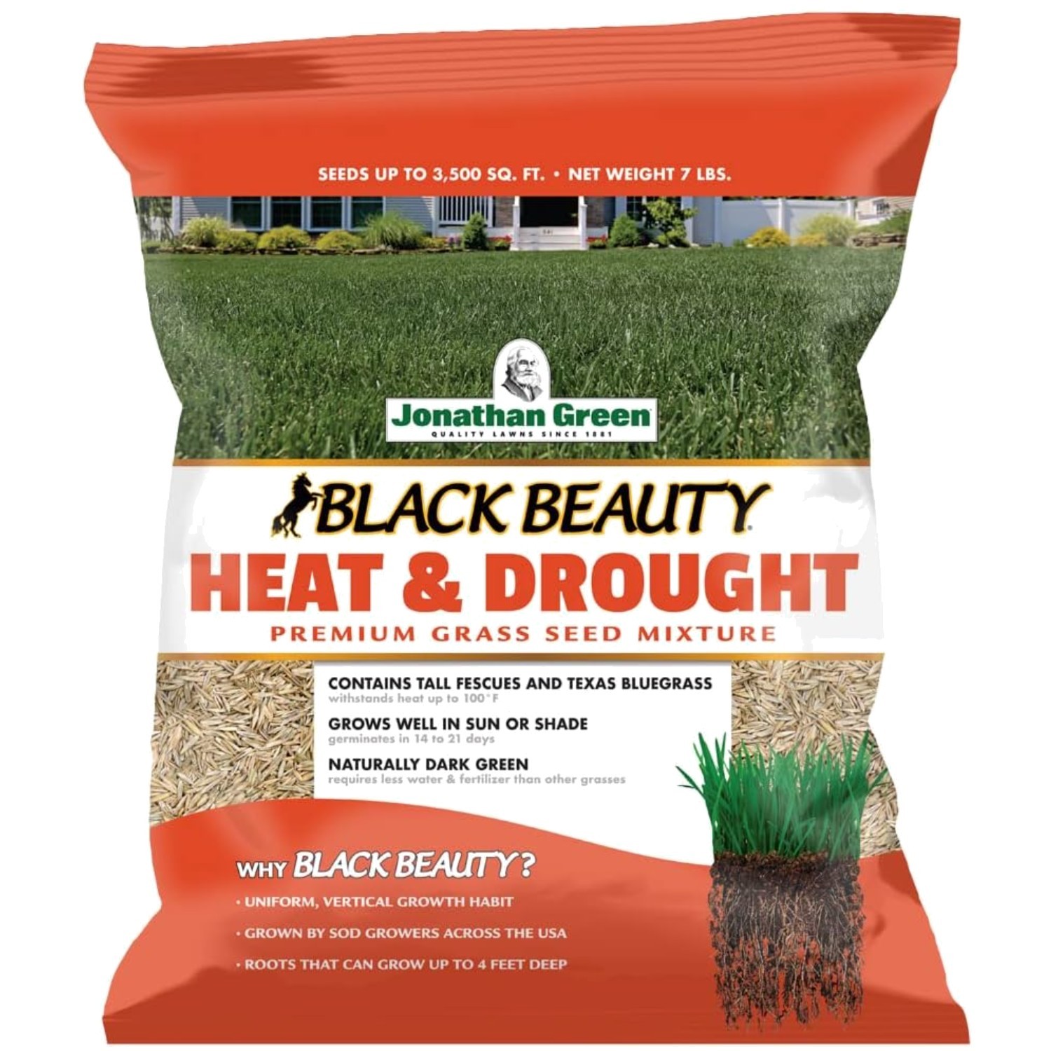 Luxurious Green Lawns: 7 lb Black Beauty Heat & Drought Resistant Grass Seed.,
