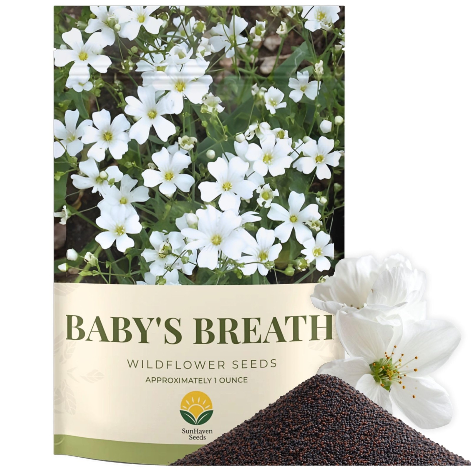 Baby’s Breath Seeds 20,000+ Gypsophila elegans for Bouquets & Gardens