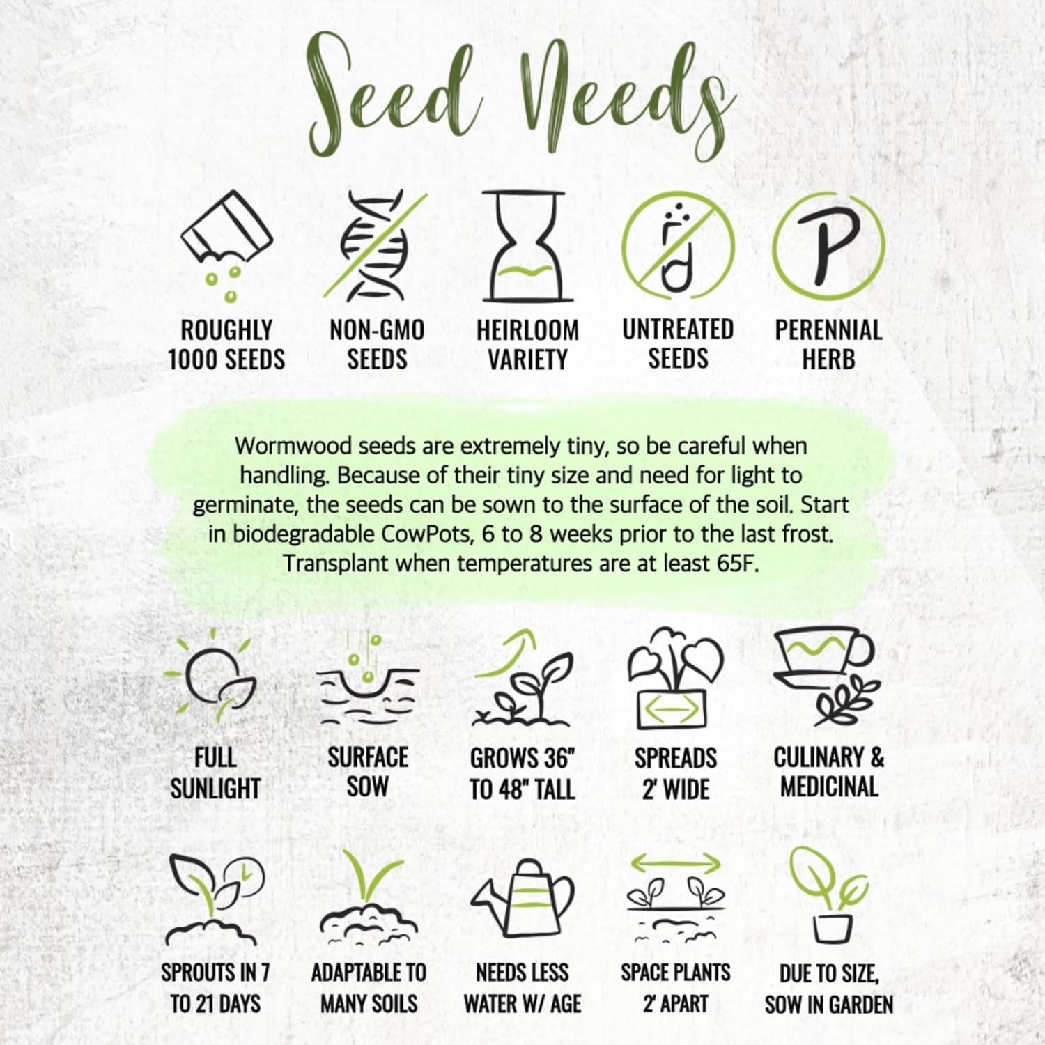 Wormwood Seeds for Planting – Untreated, Non-GMO Herbal Growth – 1000 Count