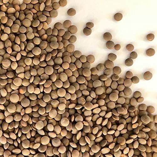 16 oz Red Lentils