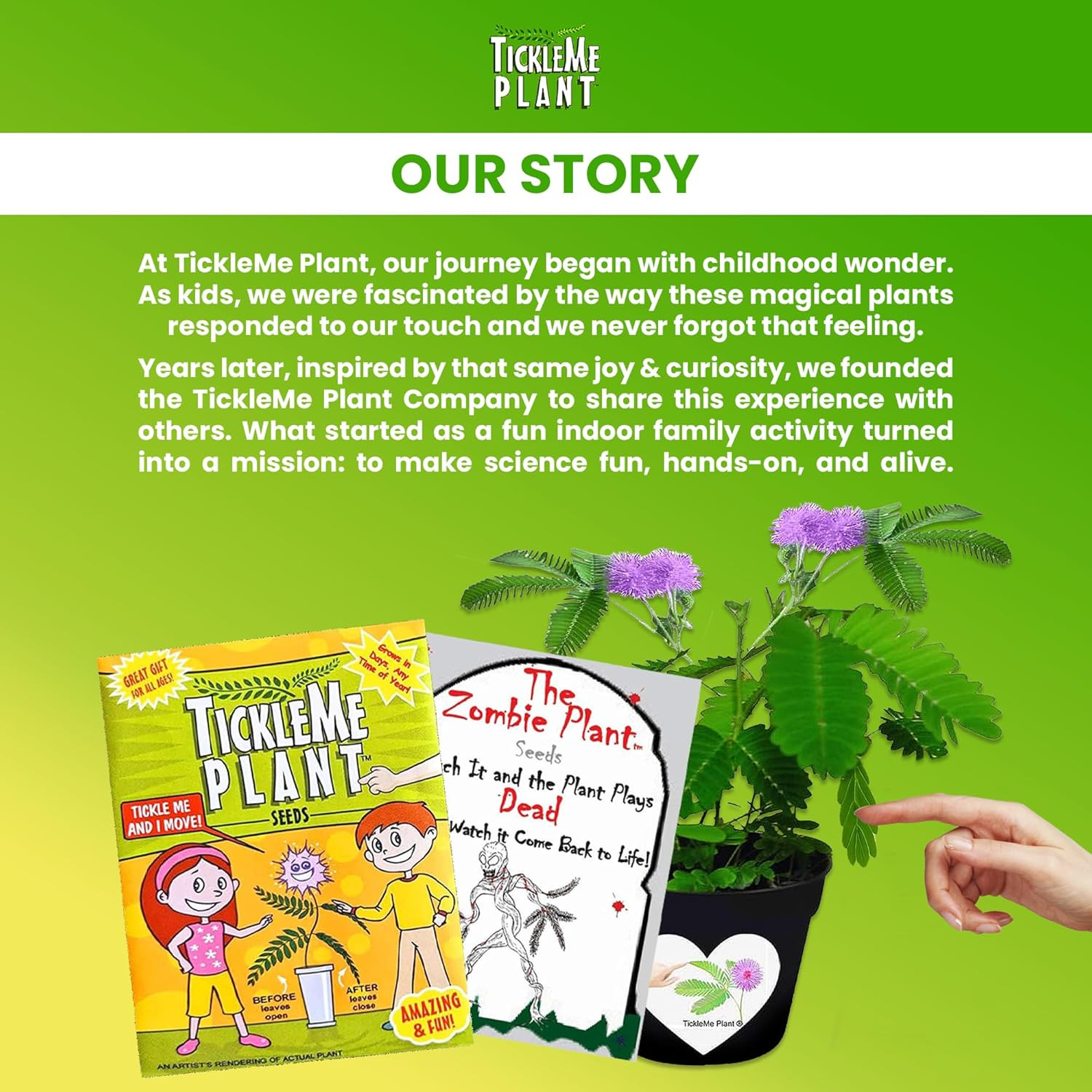 Zombie Plant Seed Packets – Grow a Live Sensitive Plant That Plays Dead When Tou