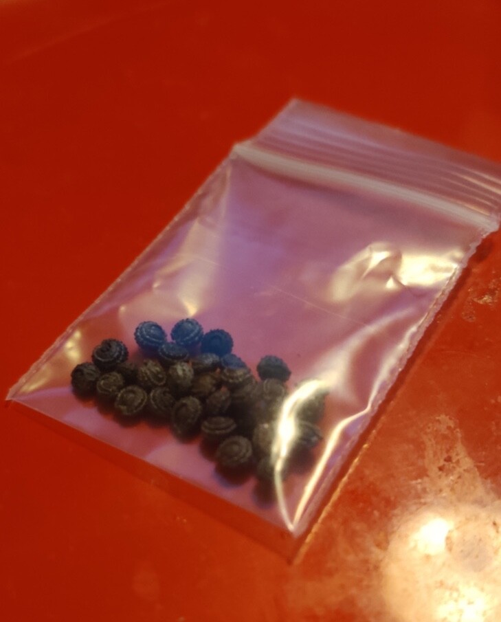 60 Suong Sam VN -Yanang Jelly – Cyclea Barbata Seeds hàng nhập khẩu 1/2023
