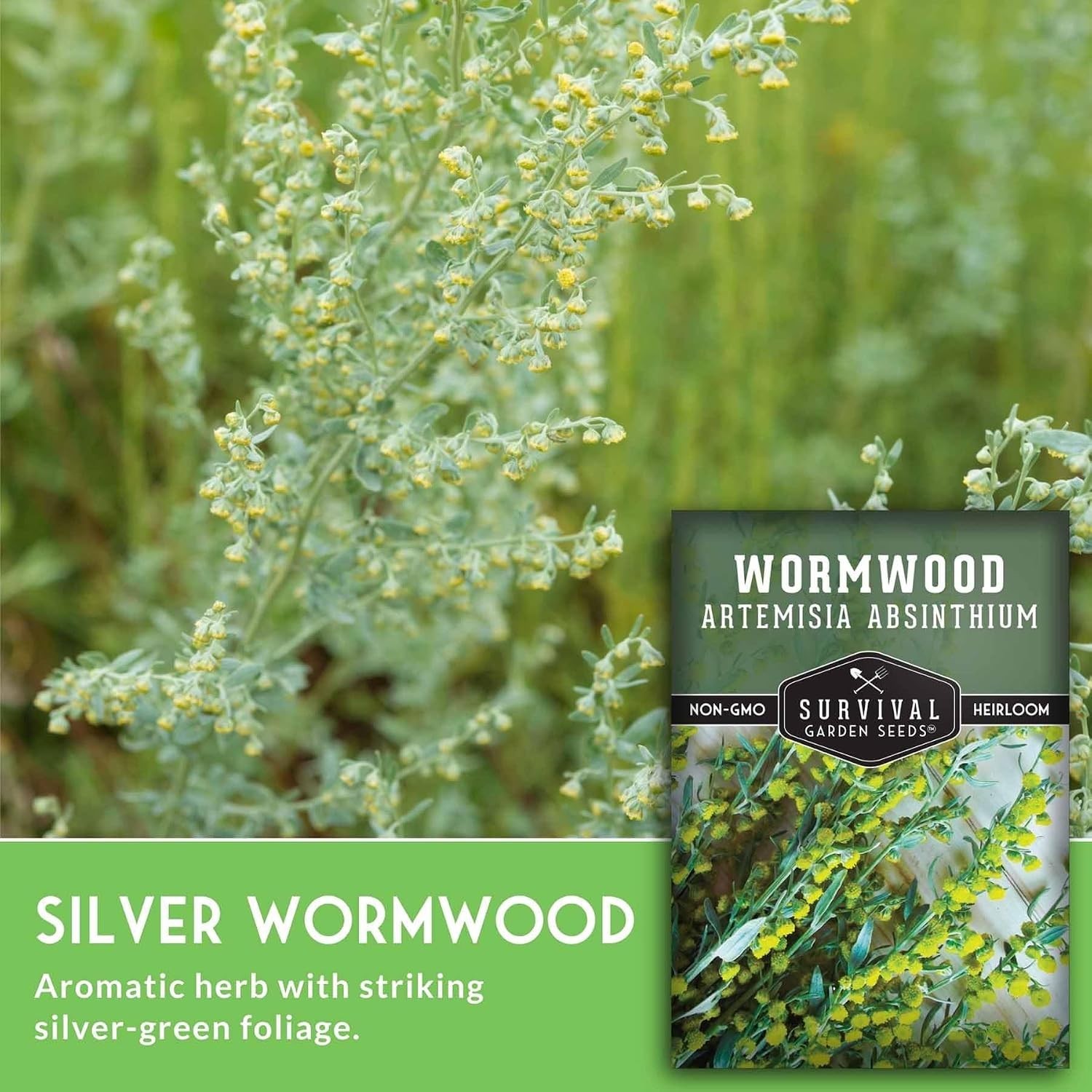 5-Pack Heirloom Wormwood Seeds – Deer Resistant Medicinal Herb for Home Gardens