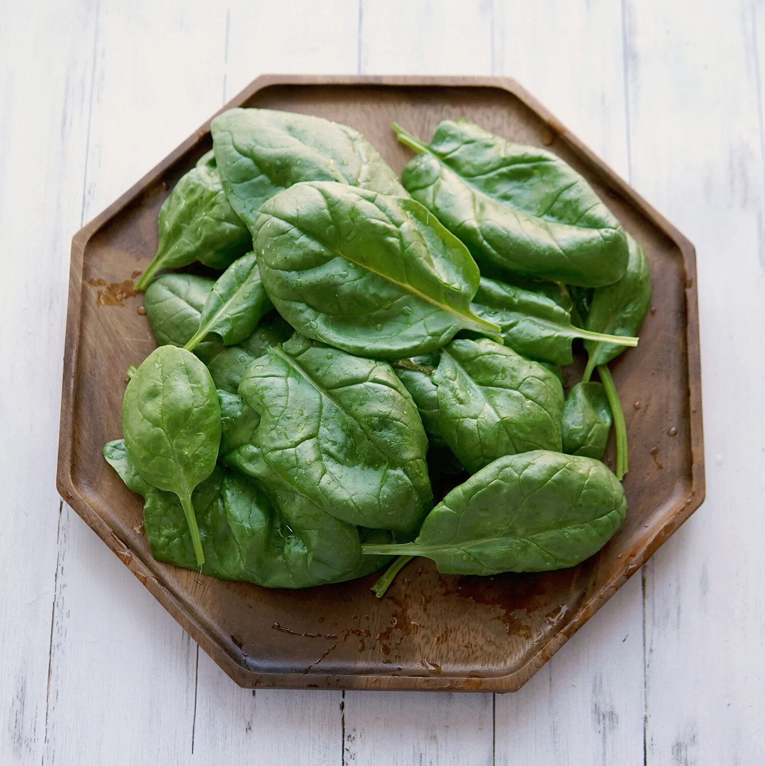 Olympia Spinach Seeds, NON-GMO, Variety Size Packets, FREE SHIPPING