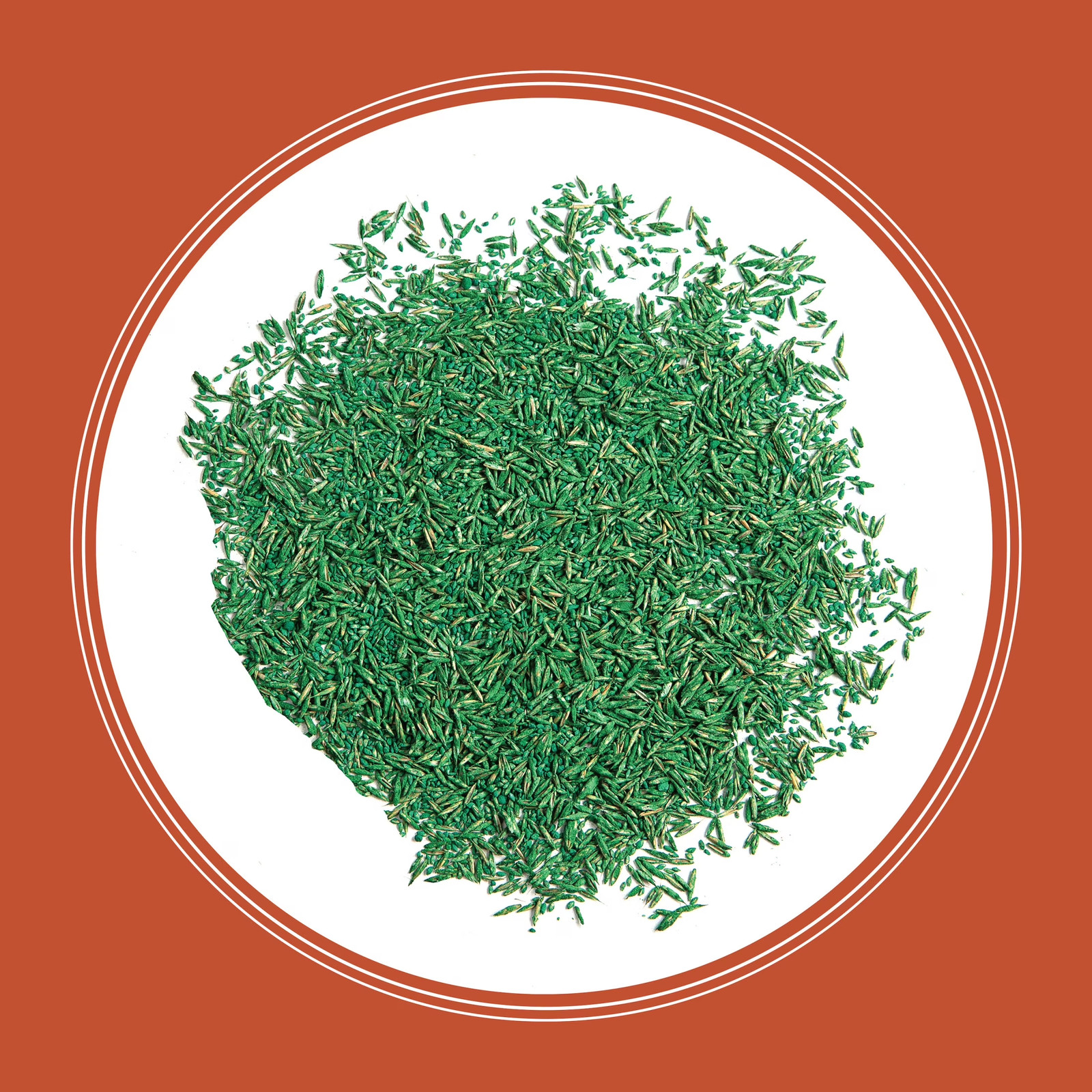 Bermudagrass Grass Seed, for Full Sun, Southern Lawns, 15 Lb Bag