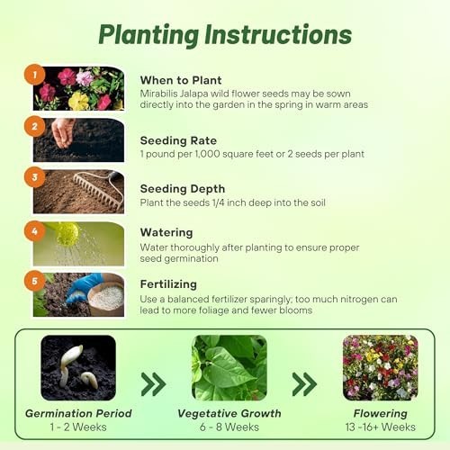 Mixed Four O’clock Flower Seeds – 1 lb Perennial, Fragrant Trumpet Blooms, Deer-