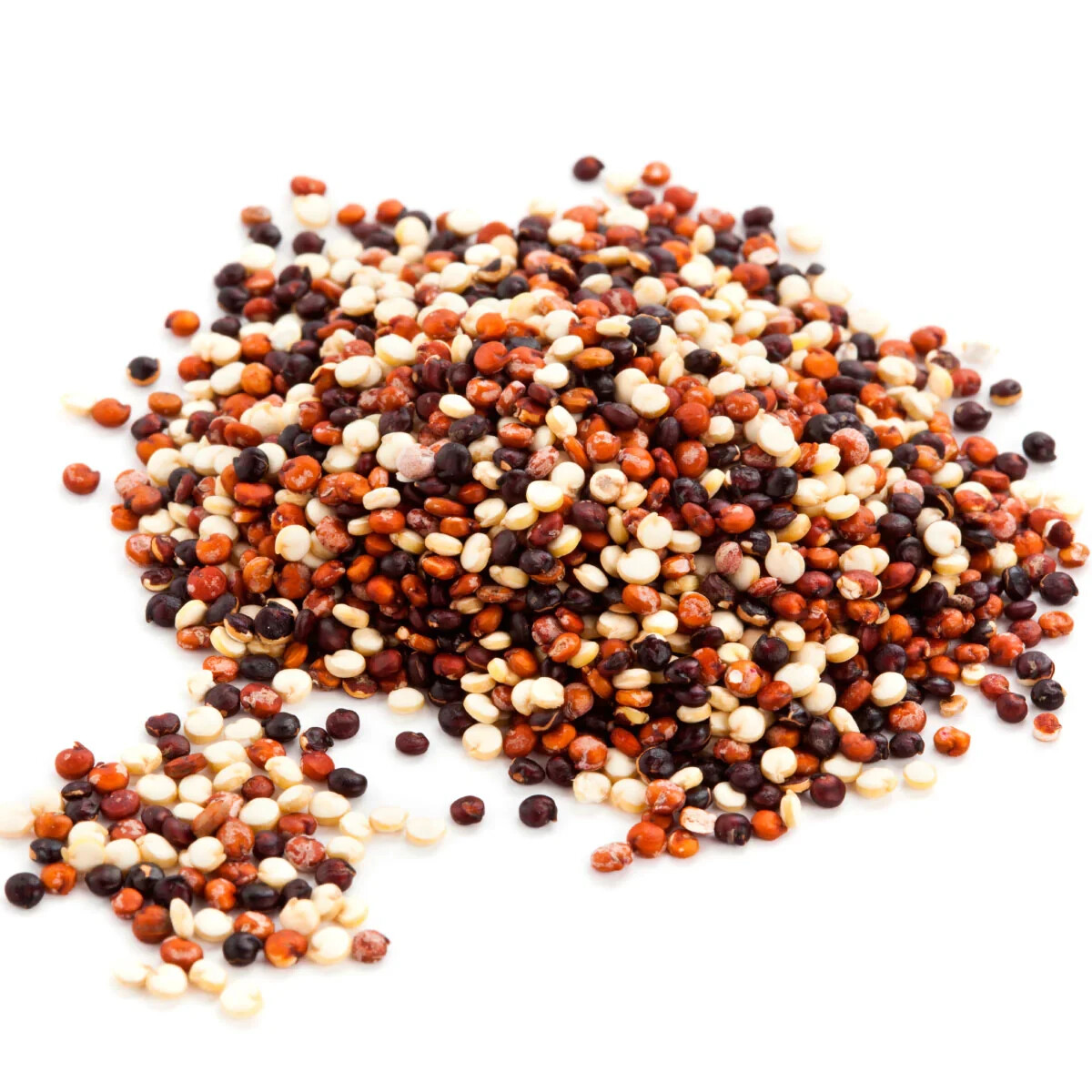 300+ Organic Rainbow QUINOA SEEDS (Chenopodium quinoa) White, Red, Black