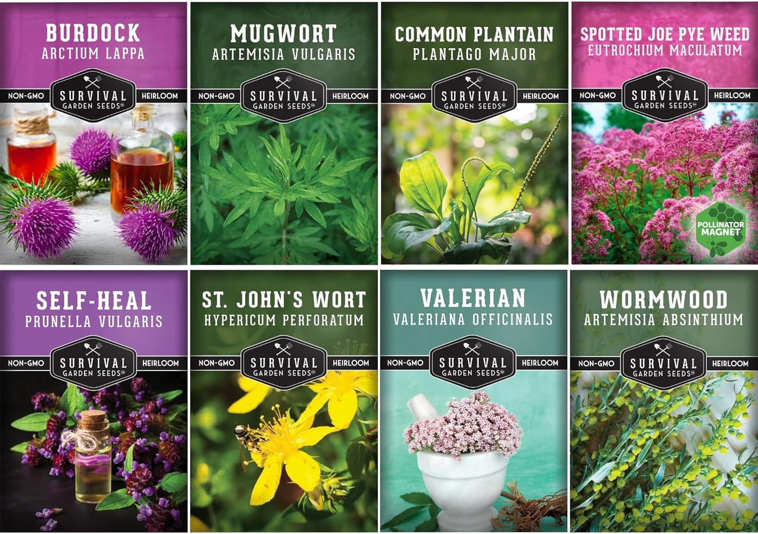 Advanced Medicinal Herb Seeds Collection – Variety Pack for Planting with Planta