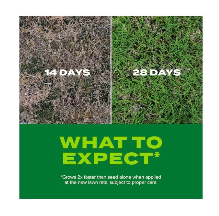 [FASH SALE] Scotts Rapid Grass Bermuda Grass Seed 4lb Bag Fast Growing Lawn