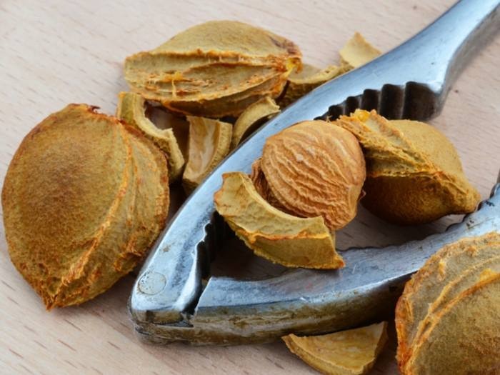 Bitter Apricot Seeds Extract Capsules 500mg