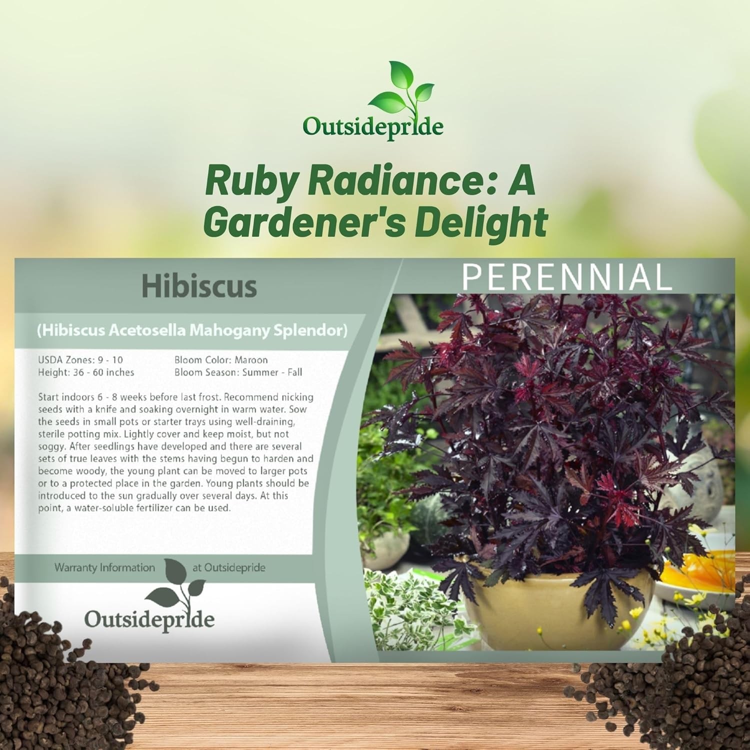 20 Seeds Drought Tolerant Hibiscus Mahogany Splendor Garden Flower Plant Seed