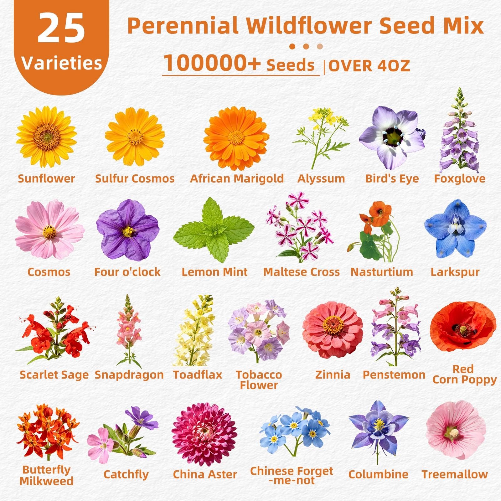 100,000+ Wildflower Seeds Bulk – 25 Varieties Annual & Perennial Mix, High Germi