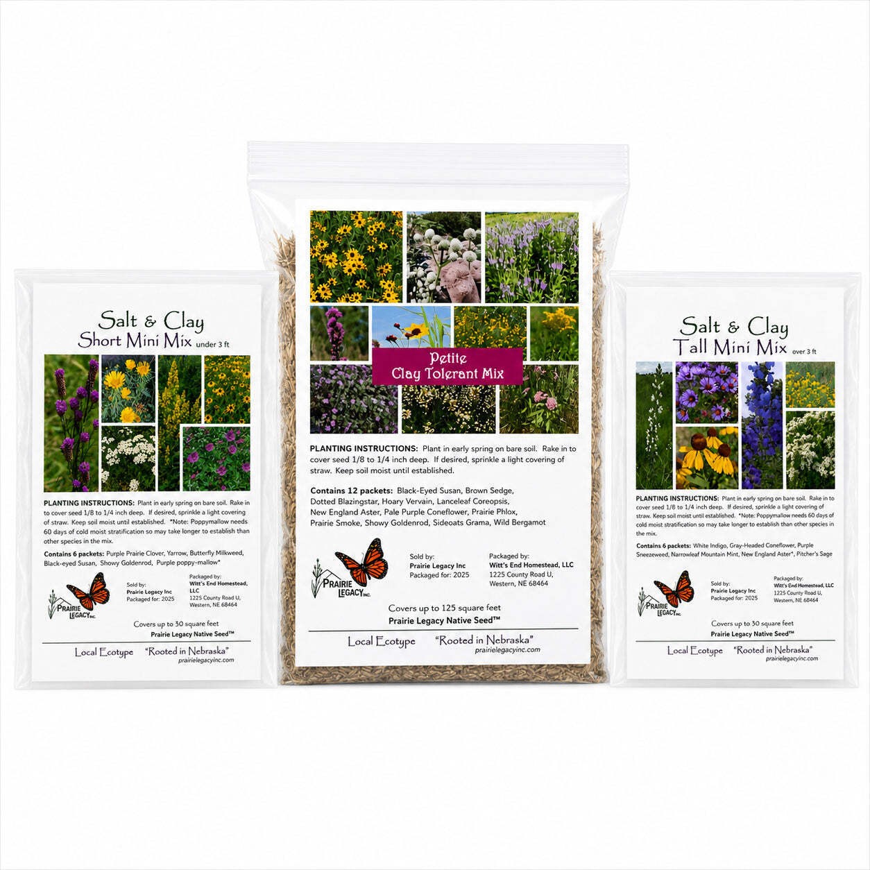 Backyard Salt & Clay Wildflower XL Bundle | Tall & Short Mini Mixes and Petite C