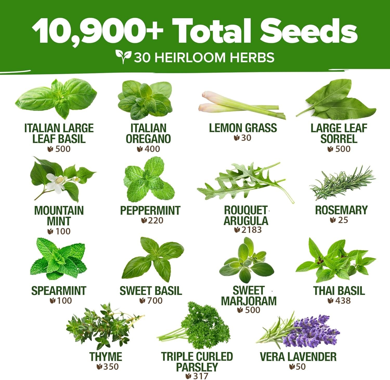 Pollinator-Friendly Herb Seed Set for Spring & Summer Planting – Low Maintenance
