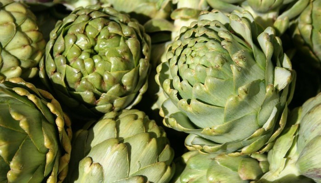 Green Globe Artichoke Seeds, Heirloom, NON-GMO, French Artichoke, FREE SHIPPING