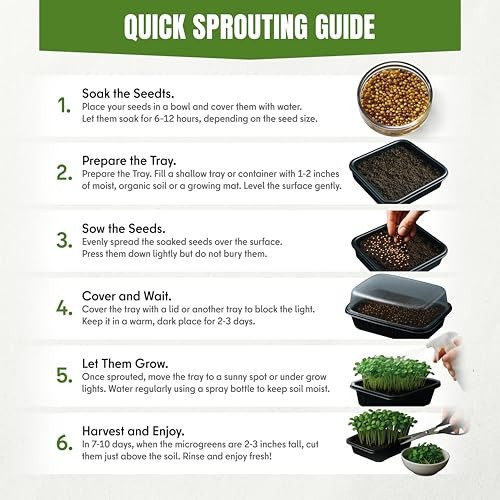 SproutMe Microgreens & Sprouting Seeds Variety 10 Microgreens & Sprouting Seeds