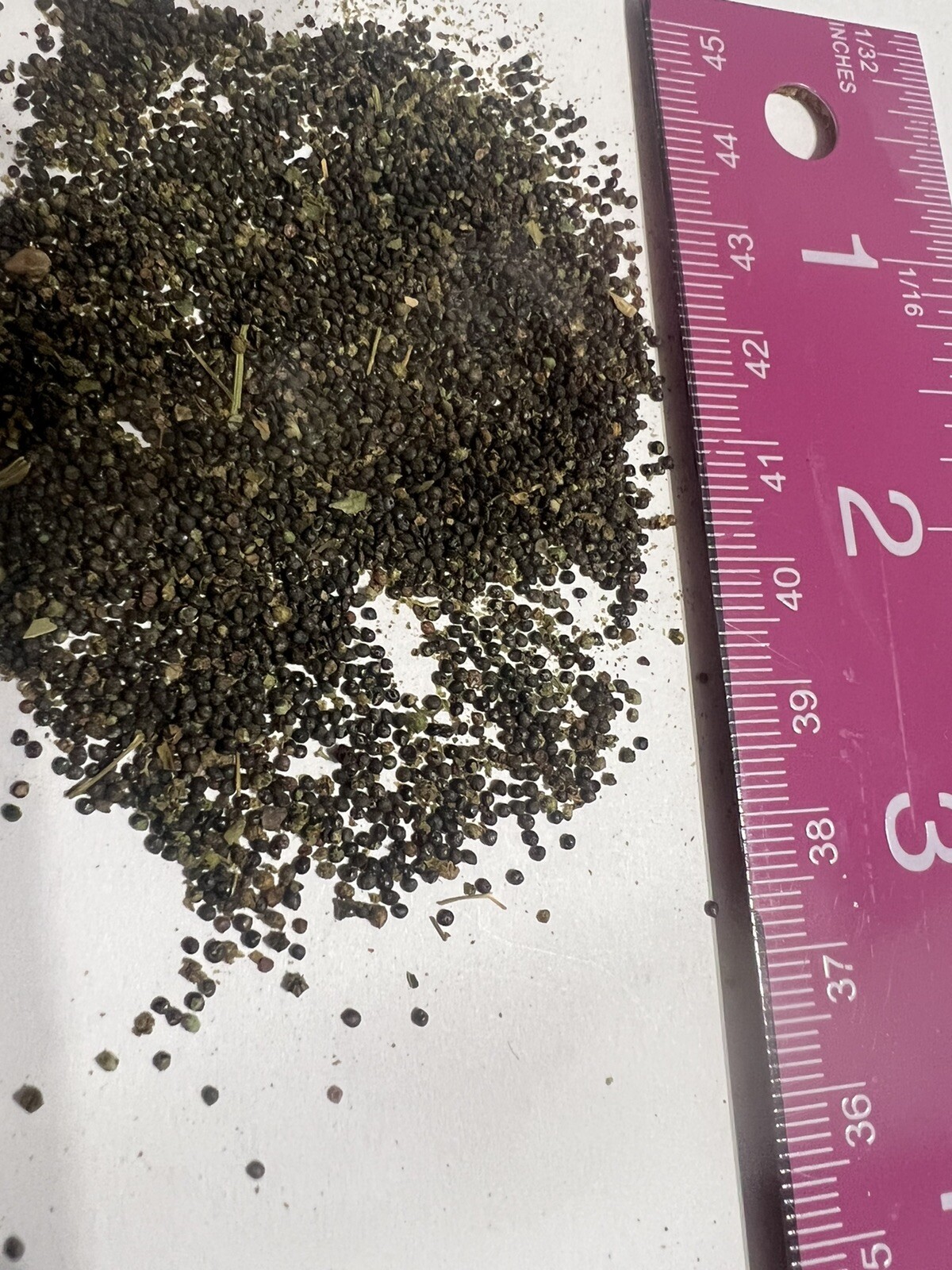 Lambs Quarter, Pigweed, WildSpinach, GooseFoot, 1,000 Seeds NO GMO