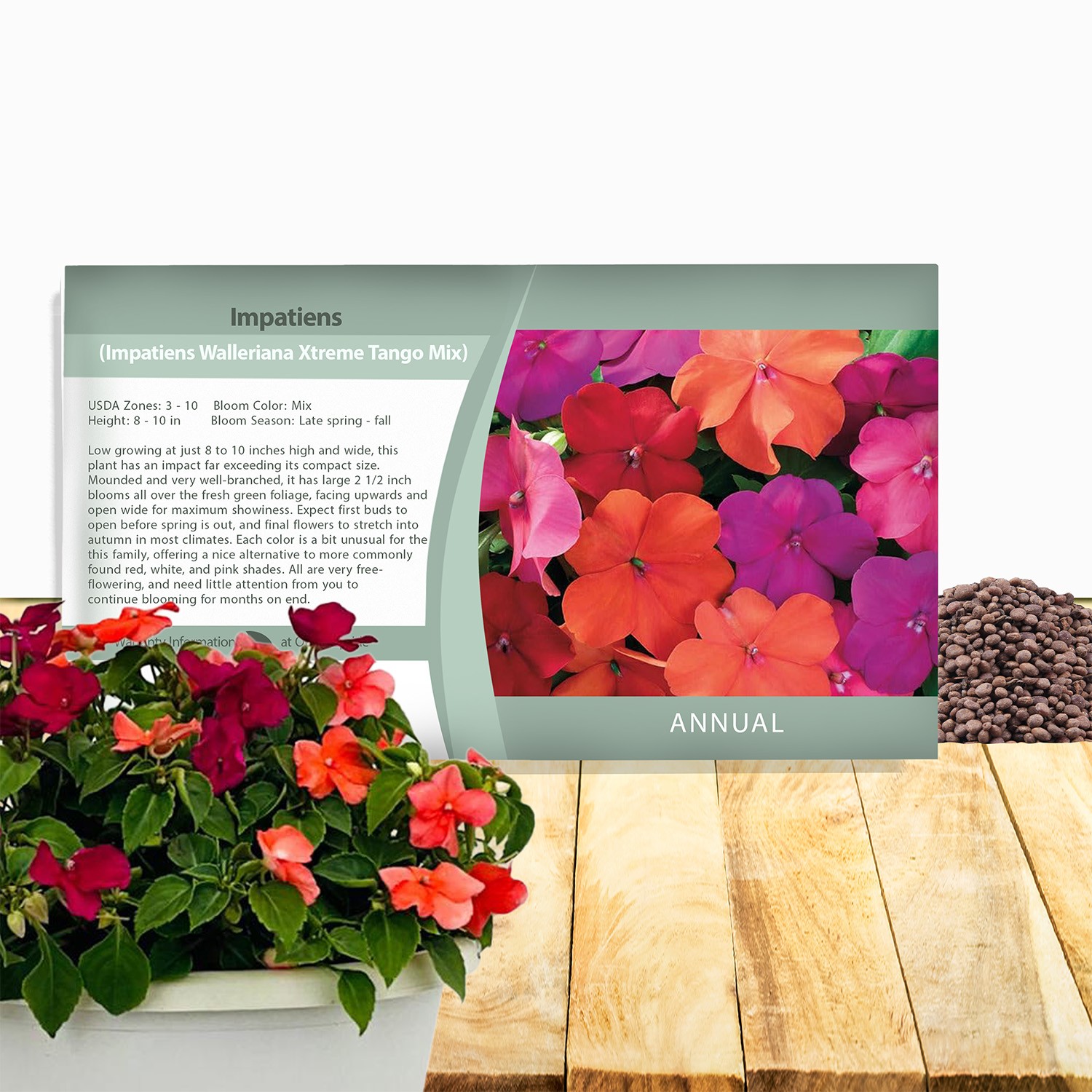 100 Seeds Impatiens Walleriana Seed Mix For Planting – Tango Mix Flower Seeds