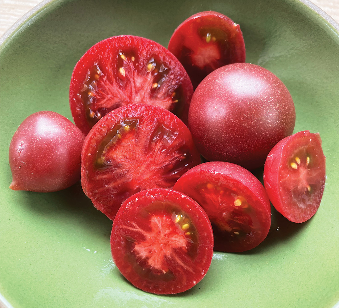 10 seeds Dwarf Velvet Night Tomato Purple cherry ORGANIC Rare Variety DTP