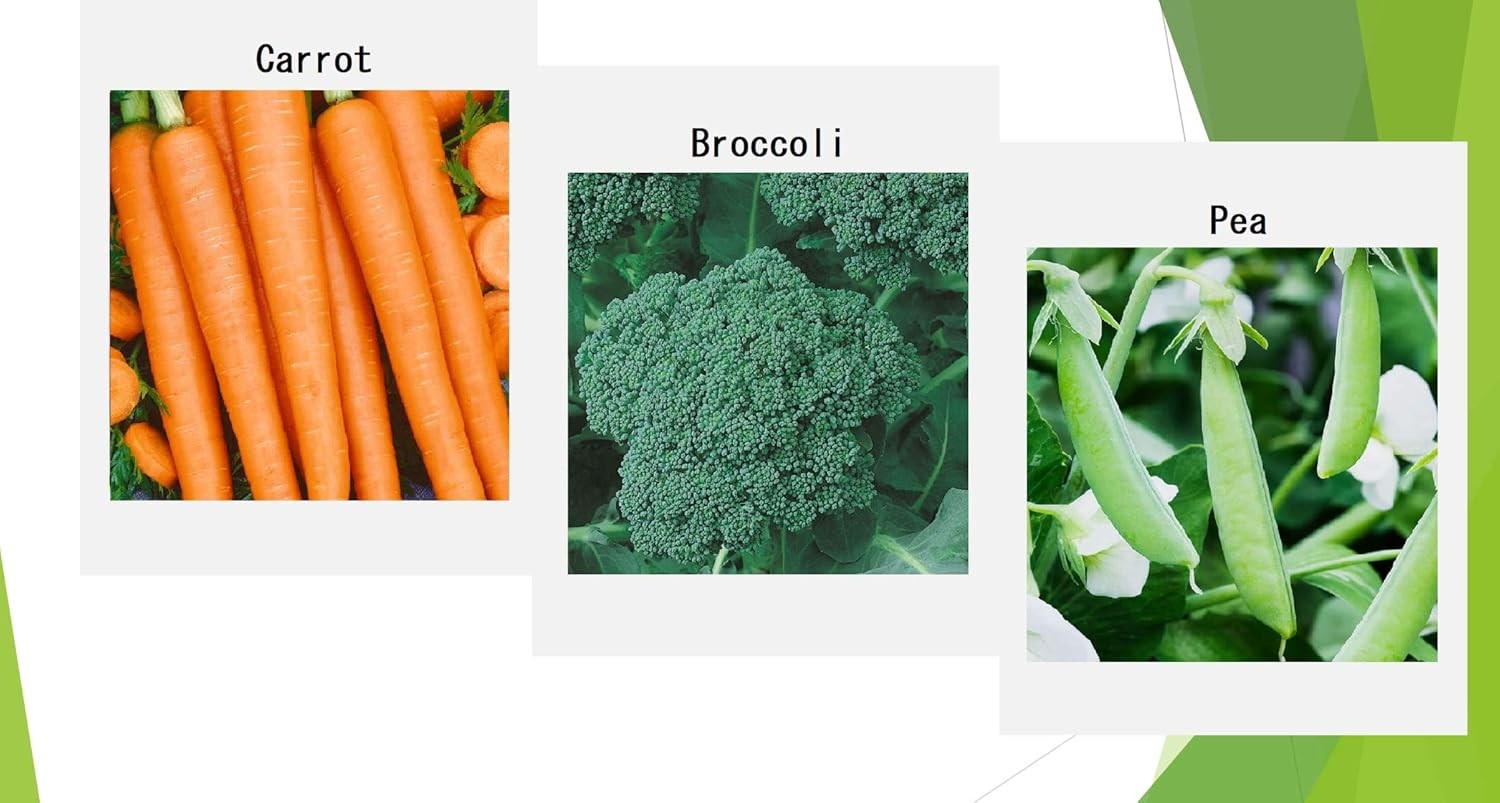 Premium Winter Vegetable Seeds for Planting Organic Non-GMO Heirloom Seeds 12 Va