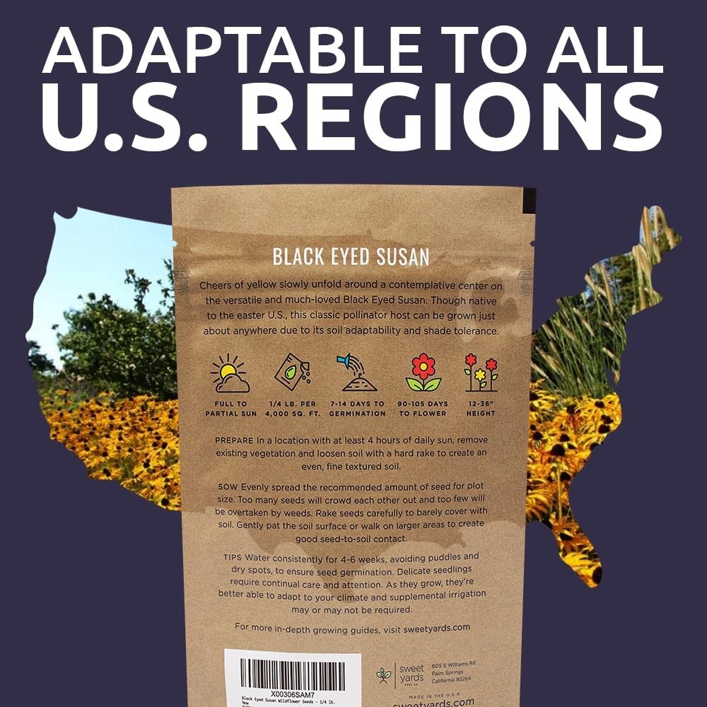 Bulk Black Eyed Susan Seeds – 1/4 lb Non-GMO Wildflower Seeds – 400,000+ Open Po