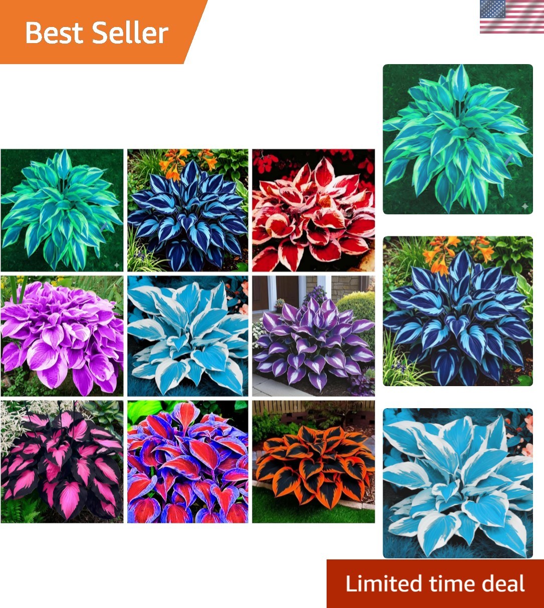 Rare 390+ Hosta Seeds – Vibrant Outdoor Plants for Low Maintenance Gardens