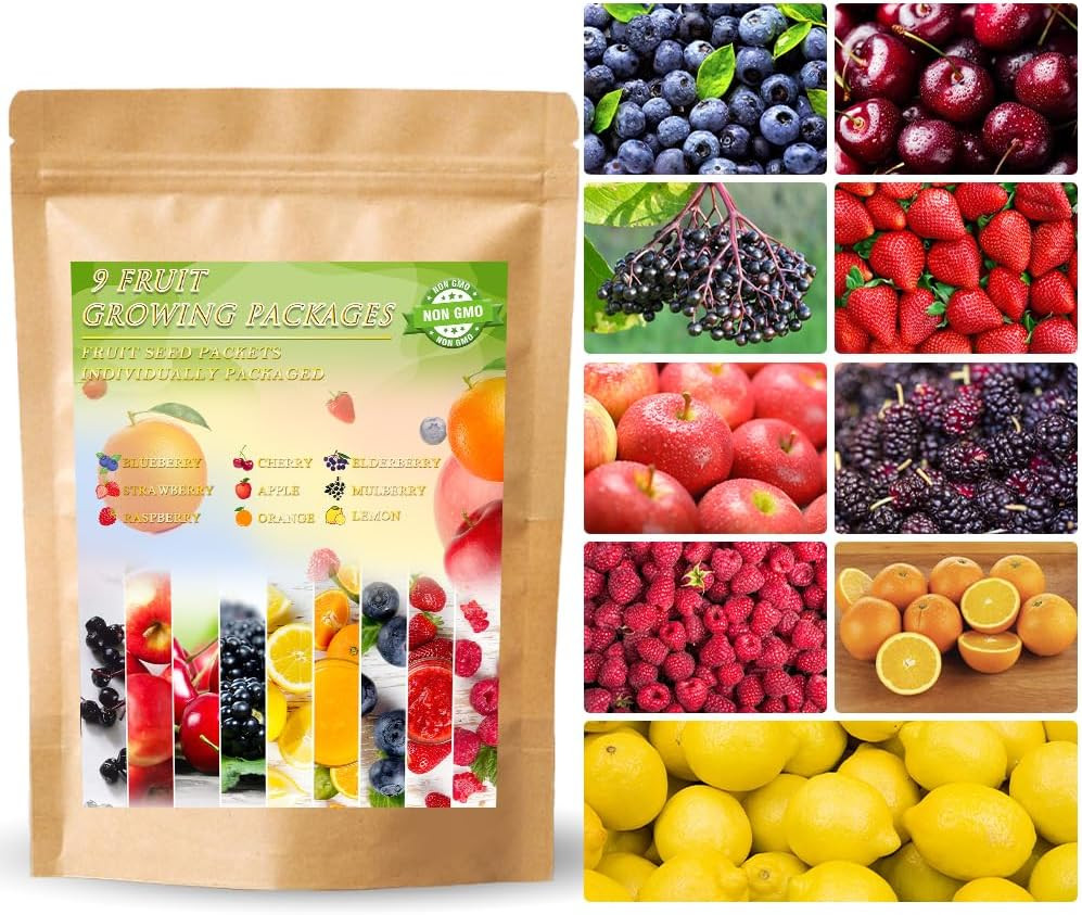 1200+ Mix Fruit Seeds Berry Seeds for Planting Heirloom Strawberry Raspberry