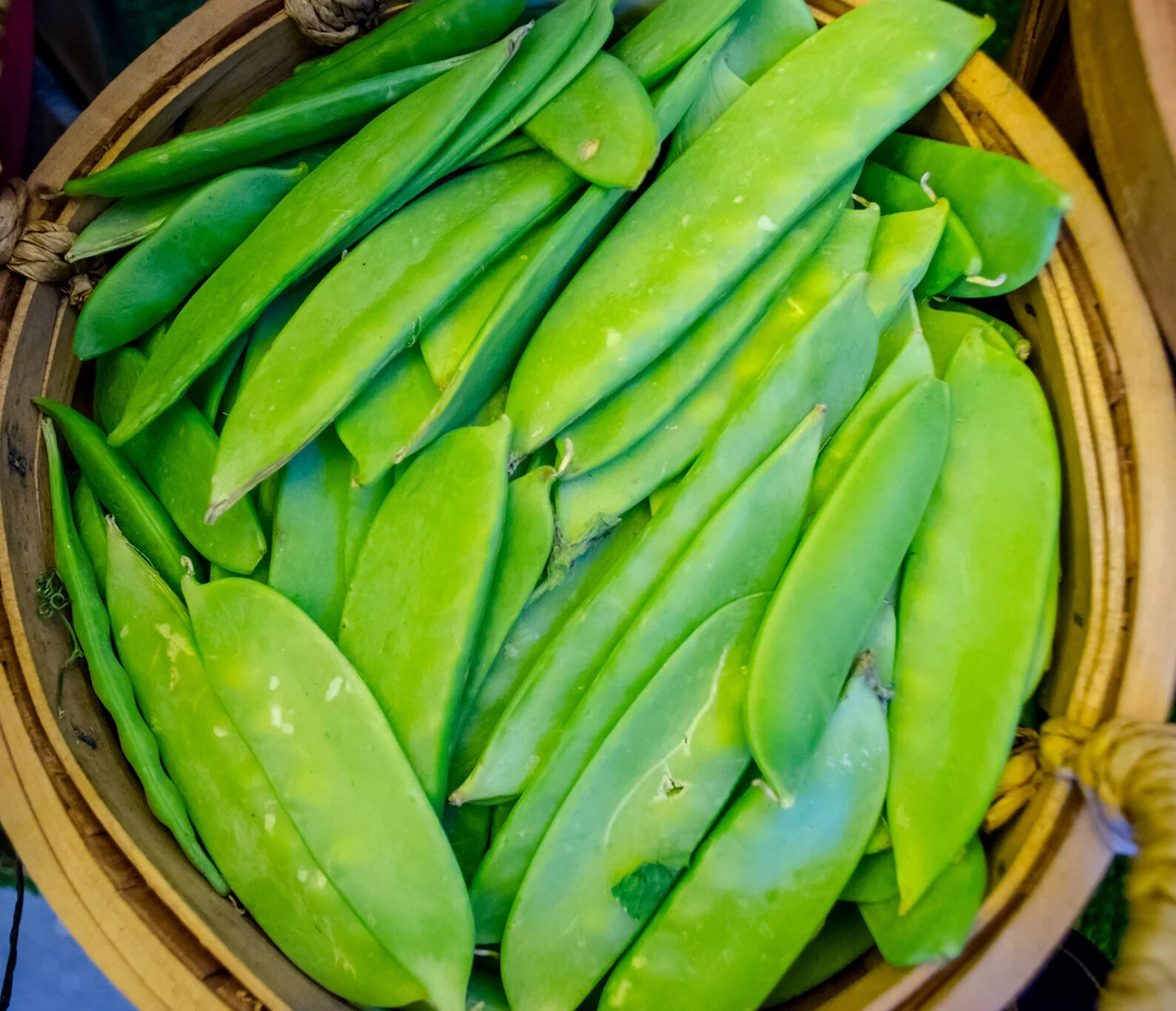 150+ OREGON SUGAR POD PEAS SEEDS HEIRLOOM NON GMO VEGETABLE AUTUMN GARDEN BULK
