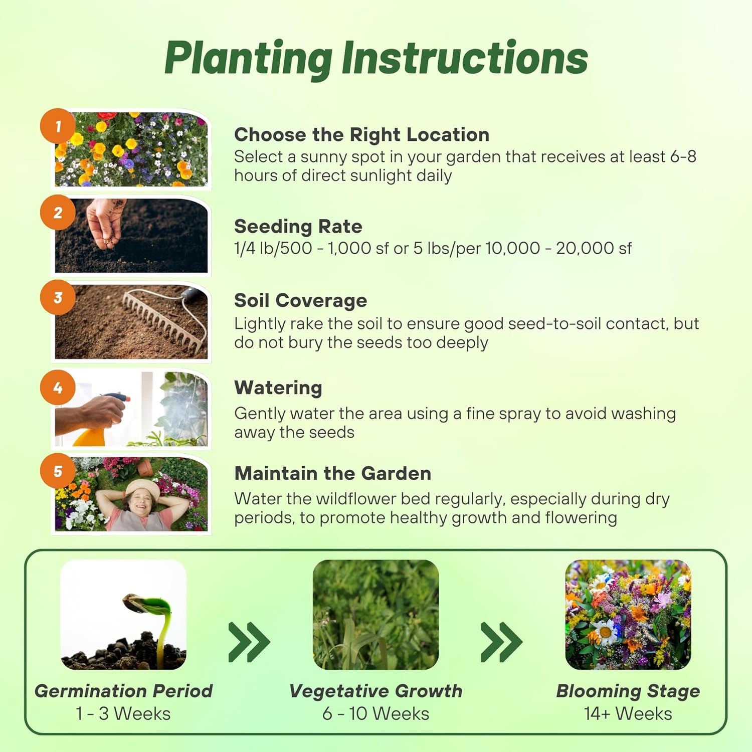 1 LB Deer Resistant Wild Flower Seed Mix – available in bulk