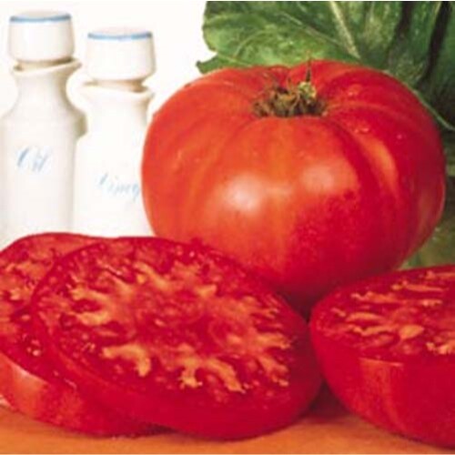 Tomato Supersteak – Hybrid Great Garden Vegetable By Seed Kingdom 10 Seeds