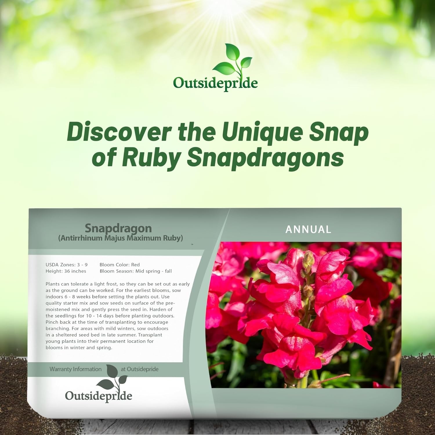 10000 Seeds Snapdragon Seed – Ruby Red Snapdragon Flower Seeds