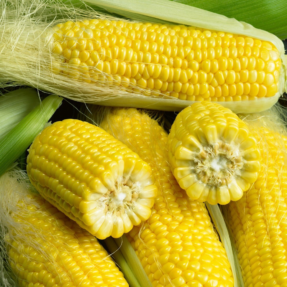 1 Lb Golden Bantam Corn Seeds – Everwilde Farms Mylar Seed Packet