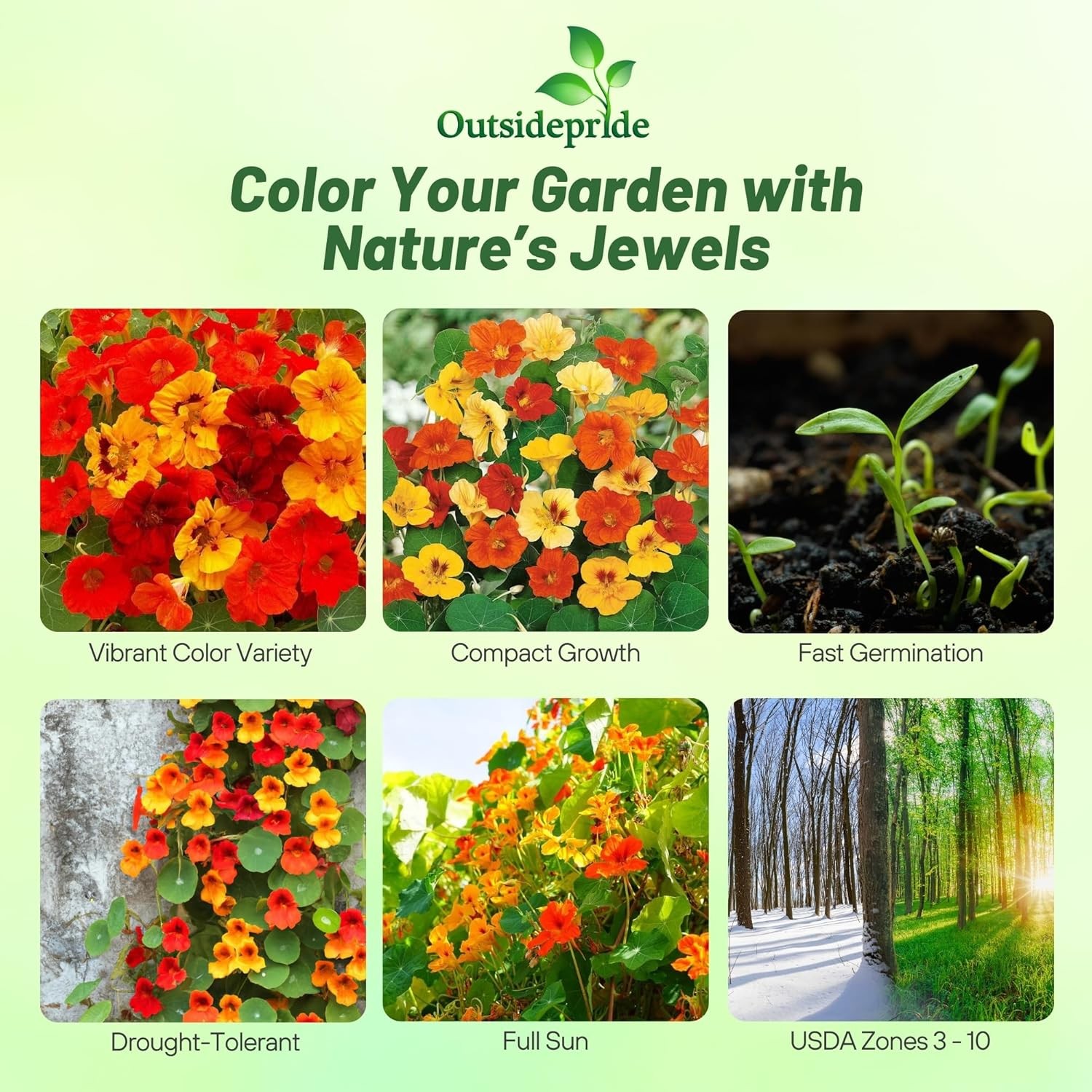 1 LB Nasturtium Seed Mix For Planting – Jewel Mix Flower Seeds