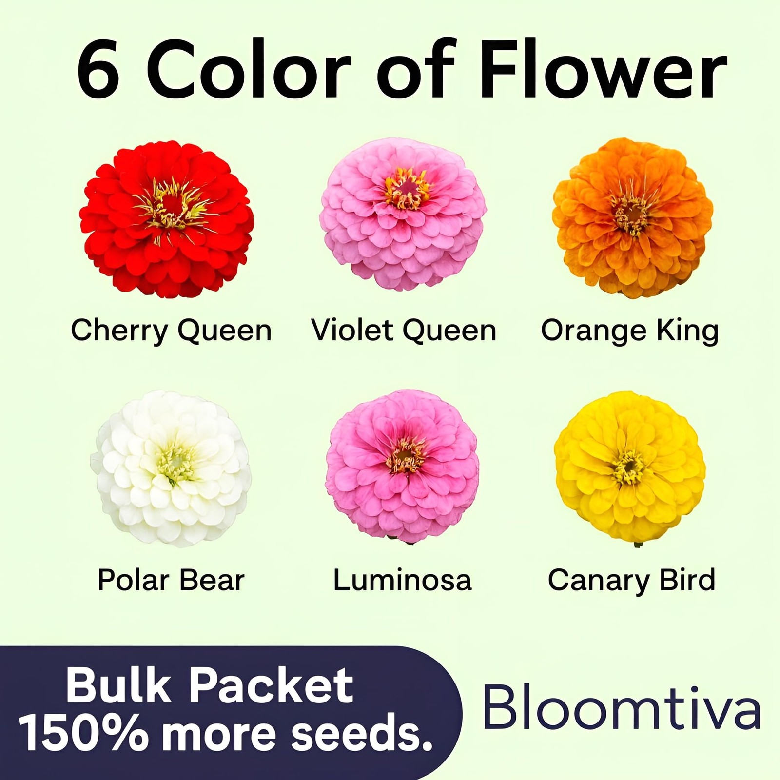 Dahlia Zinnia Seeds Bulk – 1100 Heirloom Zinnia Seeds for Planting Outdoors -…